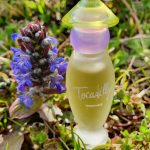 عطر ادکلن توکادیلی روشاس - Tocadilly Rochas - بررسی، قیمت و خرید
