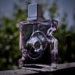 عطر ادکلن ایووک فور هیم اجمل - Evoke for Him Ajmal - بررسی، قیمت و خرید