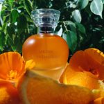 عطر ادکلن ژاردن د'اندالوزی آیدی پرفیومز - Jardin d'Andalousie ID Parfums - بررسی، قیمت و خرید