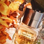 عطر ادکلن له سانس د چروتی چروتی - L'Essence de Cerruti Cerruti - بررسی، قیمت و خرید