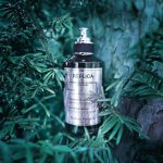 عطر ادکلن سول آو د فورست مِیزون مارتین مارژیلا - Soul Of The Forest Maison Martin Margiela - بررسی، قیمت و خرید