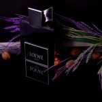 عطر ادکلن سولو لووه پلاتینوم لووه - Solo Loewe Platinum Loewe - بررسی، قیمت و خرید