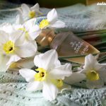 عطر ادکلن اون ایر د سمسارا گرلن - Un Air de Samsara Guerlain - بررسی، قیمت و خرید