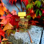 عطر ادکلن گایاک ام مایکل - Gaiac M. Micallef - بررسی، قیمت و خرید