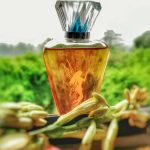 عطر ادکلن فری دَست پاریس هیلتون - Fairy Dust Paris Hilton - بررسی، قیمت و خرید