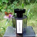 عطر ادکلن لا شاس او پاپیون اکستریم لارتیزان پرفیومر - La Chasse aux Papillons Extreme L'Artisan Parfumeur - بررسی، قیمت و خرید