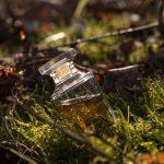 عطر ادکلن رُز اَبسولو ایو روشه - Rose Absolue Yves Rocher - بررسی، قیمت و خرید