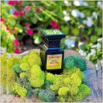عطر ادکلن موس بریچز تام فورد - Moss Breches Tom Ford - بررسی، قیمت و خرید