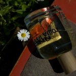 عطر ادکلن گوشا روبچینسکی کام د گارسون - Gosha Rubchinskiy Гоша Рубчинский Comme des Garcons - بررسی، قیمت و خرید