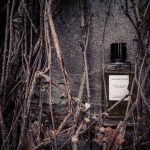 عطر ادکلن رز ولور ون کلیف اند آرپلز - Rose Velours Van Cleef & Arpels - بررسی، قیمت و خرید