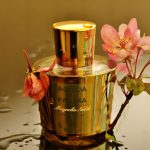 عطر ادکلن آکوا دی پارما مگنولیا نوبیله اسپشال ادیشن آکوا دی پارما - Acqua di Parma Magnolia Nobile Special Edition Acqua di Parma - بررسی، قیمت و خرید