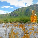 عطر ادکلن کرگر آکوالیس - Kruger Aqualis - بررسی، قیمت و خرید