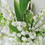 عطر ادکلن آنانس دزینتارس - Anonss (2011) Dzintars - بررسی، قیمت و خرید