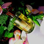 عطر ادکلن سیسیل مانسرا - Sicily Mancera - بررسی، قیمت و خرید