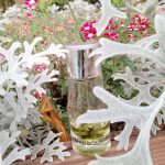 عطر ادکلن ایموشن دیواین ماوبوسین - Emotion Divine Mauboussin - بررسی، قیمت و خرید