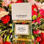 عطر ادکلن سوییت ویلیام کارنر بارسلونا - Sweet William Carner Barcelona - بررسی، قیمت و خرید