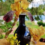 عطر ادکلن رویال ارث او دو پرفیوم د هارمونیست - Royal Earth Eau de Parfum The Harmonist - بررسی، قیمت و خرید