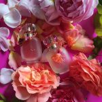 عطر ادکلن رزا فلامنکا له پارفوم دو روزین - Rosa Flamenca Les Parfums de Rosine - بررسی، قیمت و خرید