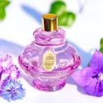 عطر ادکلن ویولت دو تولوز او دو پرفیوم پارفوم بردو - Violettes de Toulouse Eau de Parfum Parfums Berdoues - بررسی، قیمت و خرید