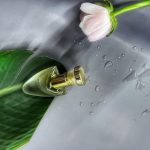عطر ادکلن بولگاری پور فم بولگاری - Bvlgari Pour Femme Bvlgari - بررسی، قیمت و خرید