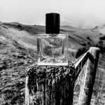 عطر ادکلن رٌز سایلِنس میلل هریس - Rose Silence Miller Harris - بررسی، قیمت و خرید