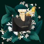 عطر ادکلن اسپلندیدا جاسمین نویر بولگاری - Splendida Jasmin Noir Bvlgari - بررسی، قیمت و خرید