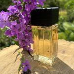 عطر ادکلن دانا کارن گلد اسپارکلینگ دانا کارن - Donna Karan Gold Sparkling Donna Karan - بررسی، قیمت و خرید