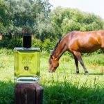 عطر ادکلن سی‌ینا کربتری اند اویلین - Sienna Crabtree & Evelyn - بررسی، قیمت و خرید