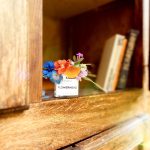 عطر ادکلن فلورهِد بایردو - Flowerhead Byredo - بررسی، قیمت و خرید