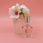 عطر ادکلن پاول اسمیت رز پاول اسمیت - Paul Smith Rose Paul Smith - بررسی، قیمت و خرید