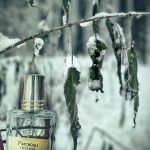 عطر ادکلن پاچولی اینتنس نیکولای پرفیومر کریتور - Patchouli Intense Nicolai Parfumeur Createur - بررسی، قیمت و خرید