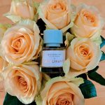 عطر ادکلن بروکلین گلیوانت - Brooklyn Gallivant - بررسی، قیمت و خرید