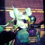 عطر ادکلن اورکید بلوم شانگهای تنگ - Orchid Bloom Shanghai Tang - بررسی، قیمت و خرید