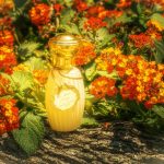 عطر ادکلن آن ماتن دورانژ گوتال - Un Matin d'Orage Goutal - بررسی، قیمت و خرید
