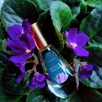 عطر ادکلن نوچنایا فیالکا دیلیس پرفیوم - Nochnaya Fialka Dilís Parfum - بررسی، قیمت و خرید