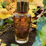 عطر ادکلن آپِرسیو هوبیگان - Apercu Houbigant - بررسی، قیمت و خرید