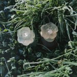 عطر ادکلن کنزو کنزو - Kenzo Kenzo - بررسی، قیمت و خرید