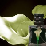 عطر ادکلن نمبر بیست و دو اس جی هفتاد و نه اس تی اچ ال ام - Nº 22 SG79 STHLM - بررسی، قیمت و خرید