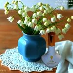 عطر ادکلن پنی والفسکا وایت میراکلوم - Pani Walewska White Miraculum - بررسی، قیمت و خرید