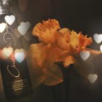 عطر ادکلن چیسینگ د دراگون یووفوریک کلایو کریستین - Chasing the Dragon Euphoric Clive Christian - بررسی، قیمت و خرید
