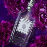 عطر ادکلن دیانتوس اِترو - Dianthus Etro - بررسی، قیمت و خرید
