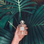 عطر ادکلن ژاردن دآمالفی کرید - Jardin d’Amalfi Creed - بررسی، قیمت و خرید