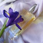 عطر ادکلن آسمانتوس کیکو میچری - Osmanthus Keiko Mecheri - بررسی، قیمت و خرید