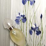 عطر ادکلن فلور د دیوا امانوئل اونگارو - Fleur de Diva Emanuel Ungaro - بررسی، قیمت و خرید