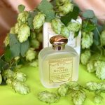 عطر ادکلن وربنا سانتا ماریا نوولا - Verbena Santa Maria Novella - بررسی، قیمت و خرید