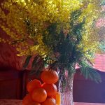 عطر ادکلن سوییت میموسا پوکروفکا تریدینگ هاوس - Sweet Mimosa Pokrovka Trading House - بررسی، قیمت و خرید