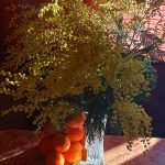 عطر ادکلن سوییت میموسا پوکروفکا تریدینگ هاوس - Sweet Mimosa Pokrovka Trading House - بررسی، قیمت و خرید