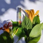 عطر ادکلن هیبیسکوس پالم اِرین - Hibiscus Palm Aerin - بررسی، قیمت و خرید