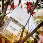 عطر ادکلن لتین لاور کارنر بارسلونا - Latin Lover Carner Barcelona - بررسی، قیمت و خرید