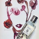 عطر ادکلن دیانتوس اِترو - Dianthus Etro - بررسی، قیمت و خرید